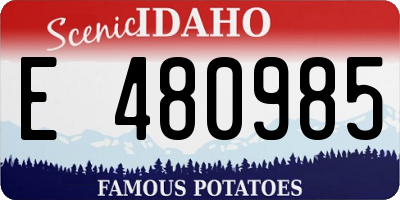ID license plate E480985