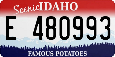 ID license plate E480993