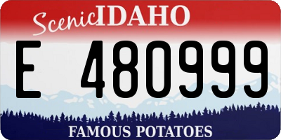 ID license plate E480999