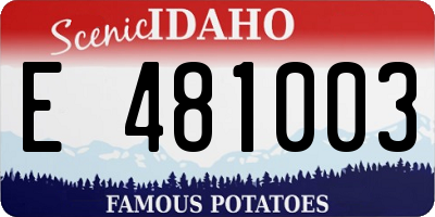 ID license plate E481003