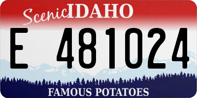ID license plate E481024