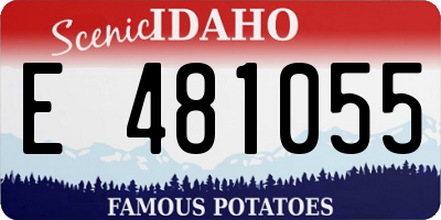 ID license plate E481055