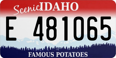 ID license plate E481065