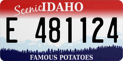 ID license plate E481124