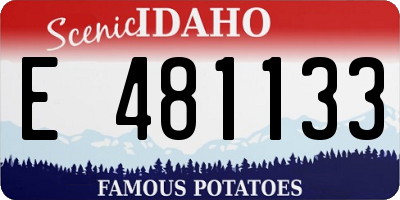 ID license plate E481133