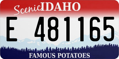 ID license plate E481165