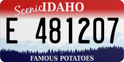 ID license plate E481207