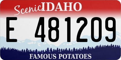 ID license plate E481209