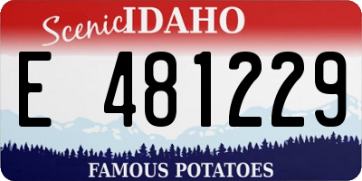 ID license plate E481229