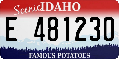 ID license plate E481230
