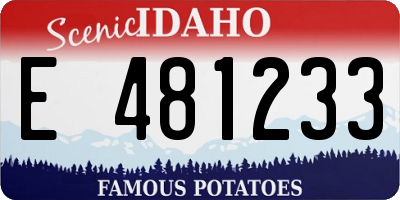 ID license plate E481233