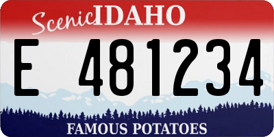 ID license plate E481234