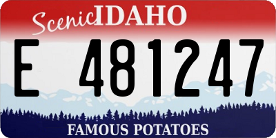 ID license plate E481247