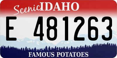 ID license plate E481263