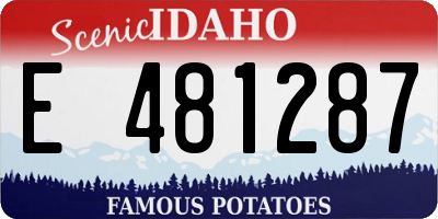 ID license plate E481287
