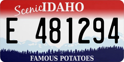 ID license plate E481294