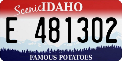 ID license plate E481302