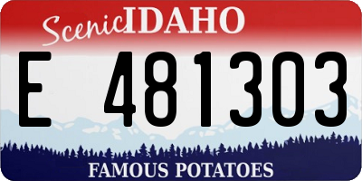ID license plate E481303