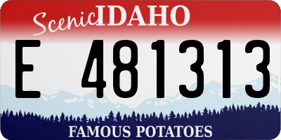 ID license plate E481313