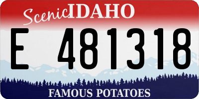 ID license plate E481318
