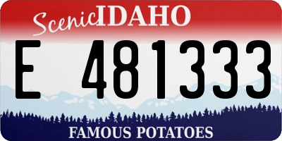 ID license plate E481333