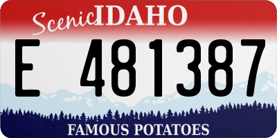 ID license plate E481387