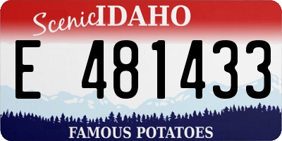 ID license plate E481433