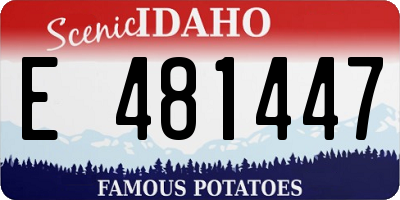 ID license plate E481447