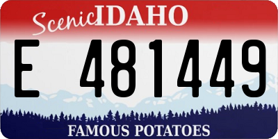 ID license plate E481449