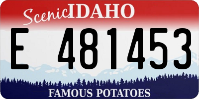 ID license plate E481453