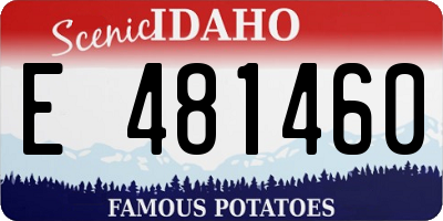 ID license plate E481460