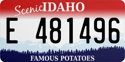 ID license plate E481496