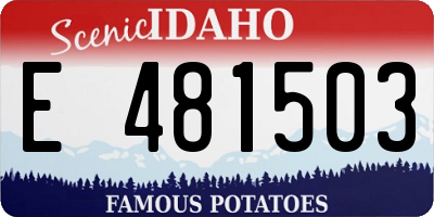 ID license plate E481503