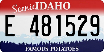 ID license plate E481529