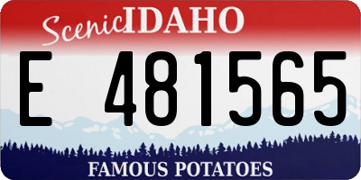 ID license plate E481565