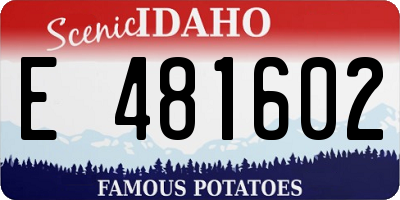 ID license plate E481602