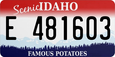ID license plate E481603