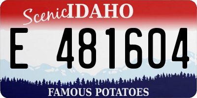 ID license plate E481604
