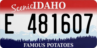 ID license plate E481607