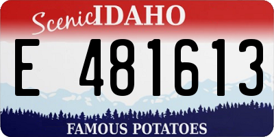 ID license plate E481613