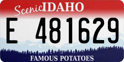 ID license plate E481629