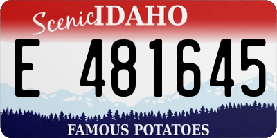 ID license plate E481645