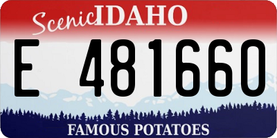 ID license plate E481660