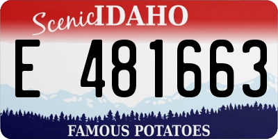 ID license plate E481663