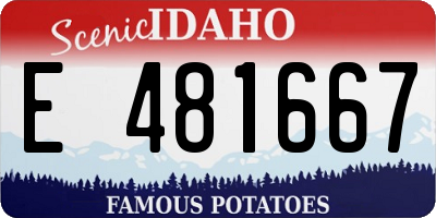 ID license plate E481667