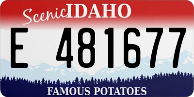 ID license plate E481677