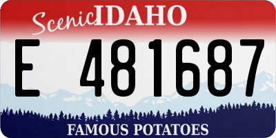 ID license plate E481687