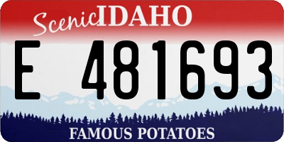 ID license plate E481693
