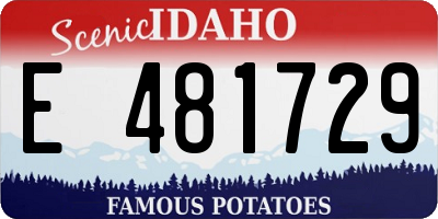 ID license plate E481729