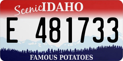 ID license plate E481733